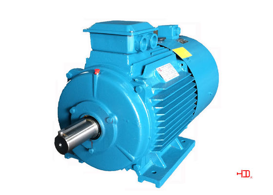 High Voltage 3000 Rpm Inverter Duty Motor 110KW 132KW High Torque Electric Motor