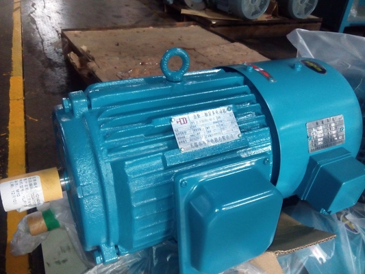 Motor assíncrono trifásico 380V 50HZ do torque alto com quadro do ferro fundido H100