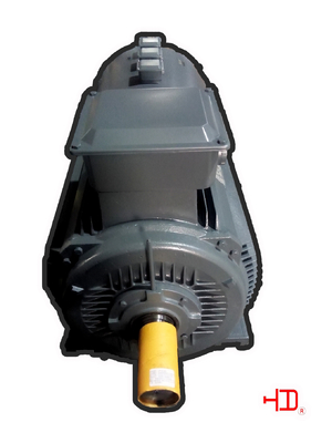 Motor industrial do dever do inversor de 45KW 160KW elétrico para o IEC/GB da bomba de água